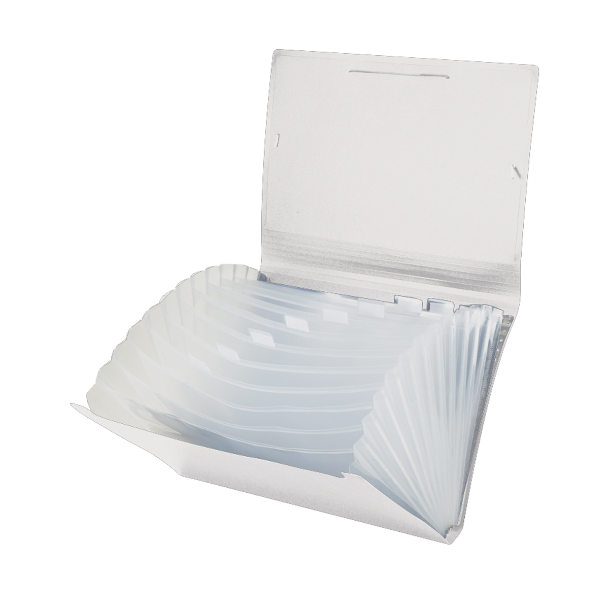 Pasta Sanfonada Ofício 31 Divisórias Cristal | ACP