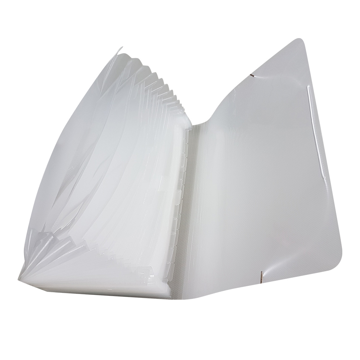 Pasta Sanfonada Ofício 31 Divisórias Cristal | ACP