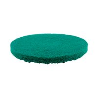 Disco Limpador Bettanin Verde 410mm
