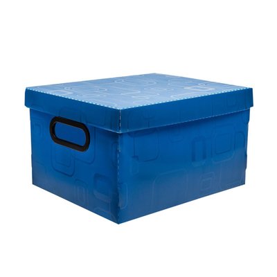 Caixa Organizadora Pequena Dello Azul