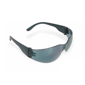 Óculos Proteção Libus Ecoline Anti-Risco Cinza