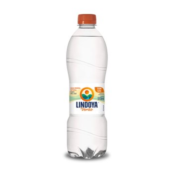 Água Mineral com Gás 510 ml 12 unidades | Lindoya