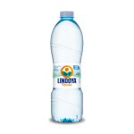 Água Mineral Sem Gás 510 ml 12 unidades | Lindoya