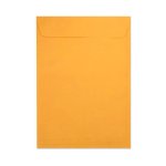 Envelope Saco Ouro 176 mm x 250 mm 10 unidades