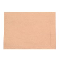 Envelope Saco Kraft 250 mm x 353 mm 10 unidades