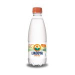 Água Mineral Com Gás 300 ml 12 unidades | Lindoya