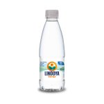 Água Mineral sem Gás 300 ml 12 Unidades | Lindoya