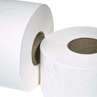 Papel Higiênico Folha Simples 300m 15g 8 rolos | Softpaper Basic Fit