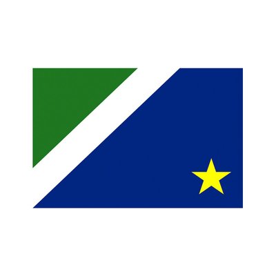 Bandeira do Estado do Mato Grosso do Sul 1,28 x 0,90M
