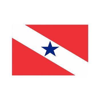 Bandeira do Estado do Pará 1,28 x 0,90M