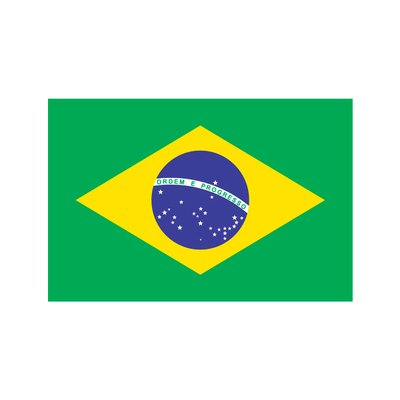Bandeira do Brasil 1,28 x 0,90 M