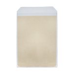 Envelope Plástico ACP Aba Solapa 23x32x4cm PCT 100UN