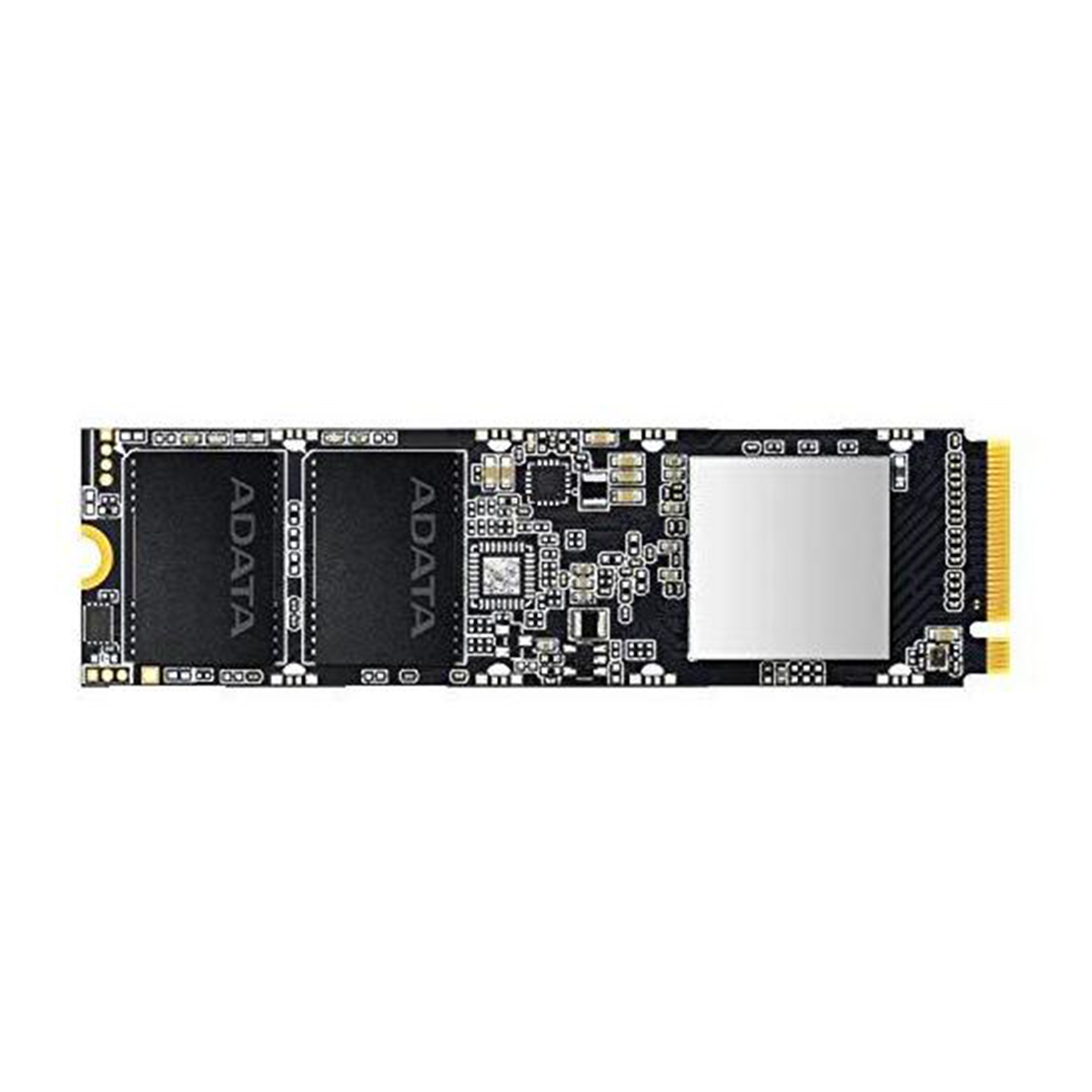 HD SSD Interno 256GB M.2 2280 ASX8100NP-256GT-C | XPG