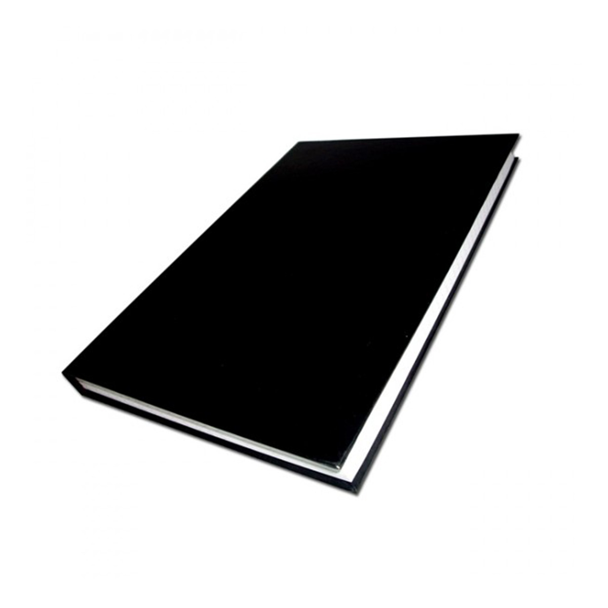 Livro Ata Transversal e Horizontal 100 folhas | Tamoio