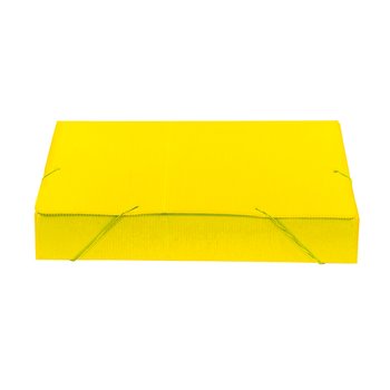 Pasta Aba e Elástico Polionda 55mm Amarela | Polibrás