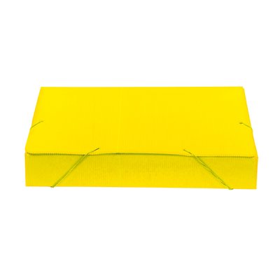 Pasta Aba e Elástico Polionda 55mm Amarela | Polibrás