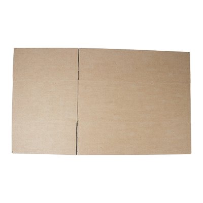 Caixa de Papelão 31 cm (L) x 17 cm (C) x 10 cm (A) 15 unidades