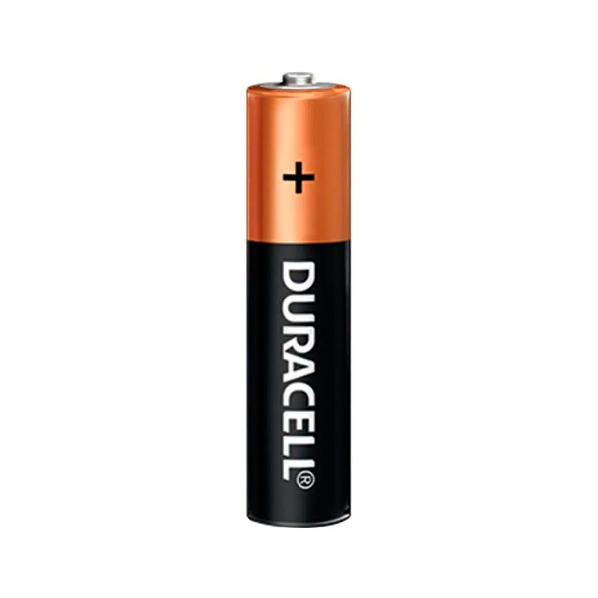 Pilha Alcalina AA Cartela 12UN | Duracell