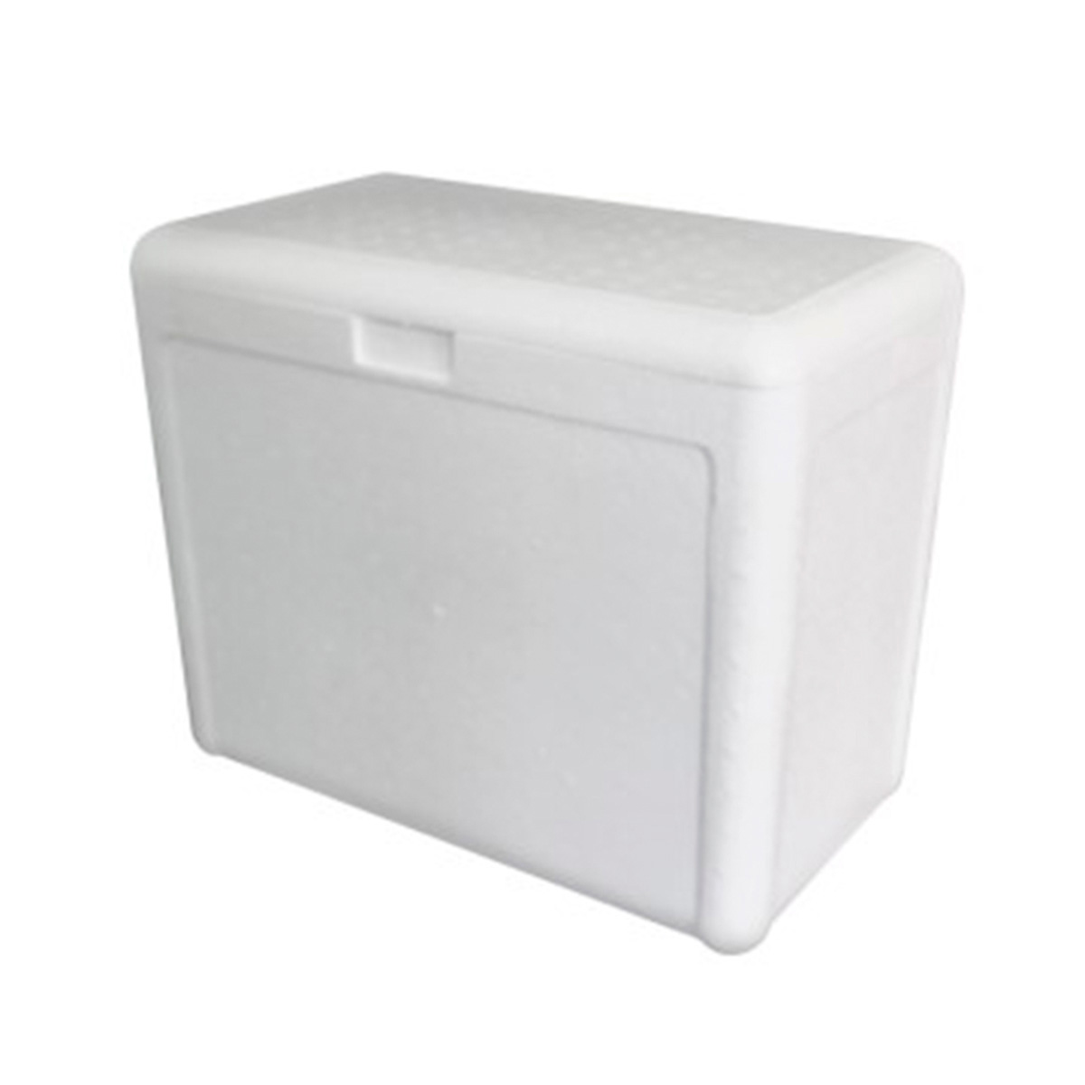 Caixa Térmica de Isopor 5L 24 unidades