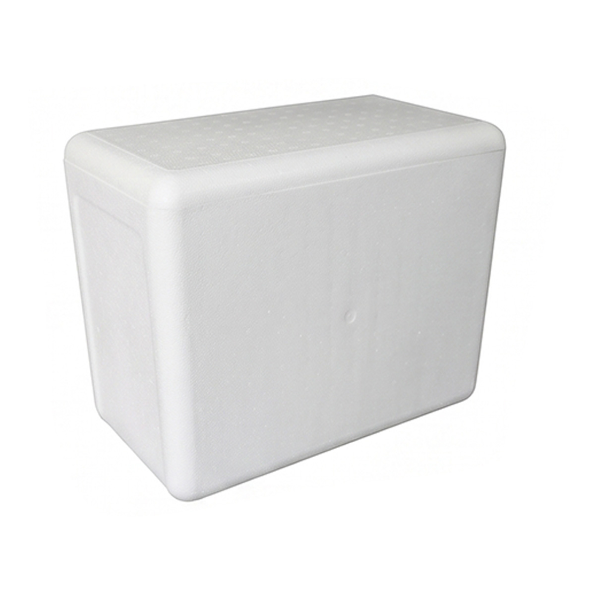 Caixa Térmica de Isopor 5L 24 unidades
