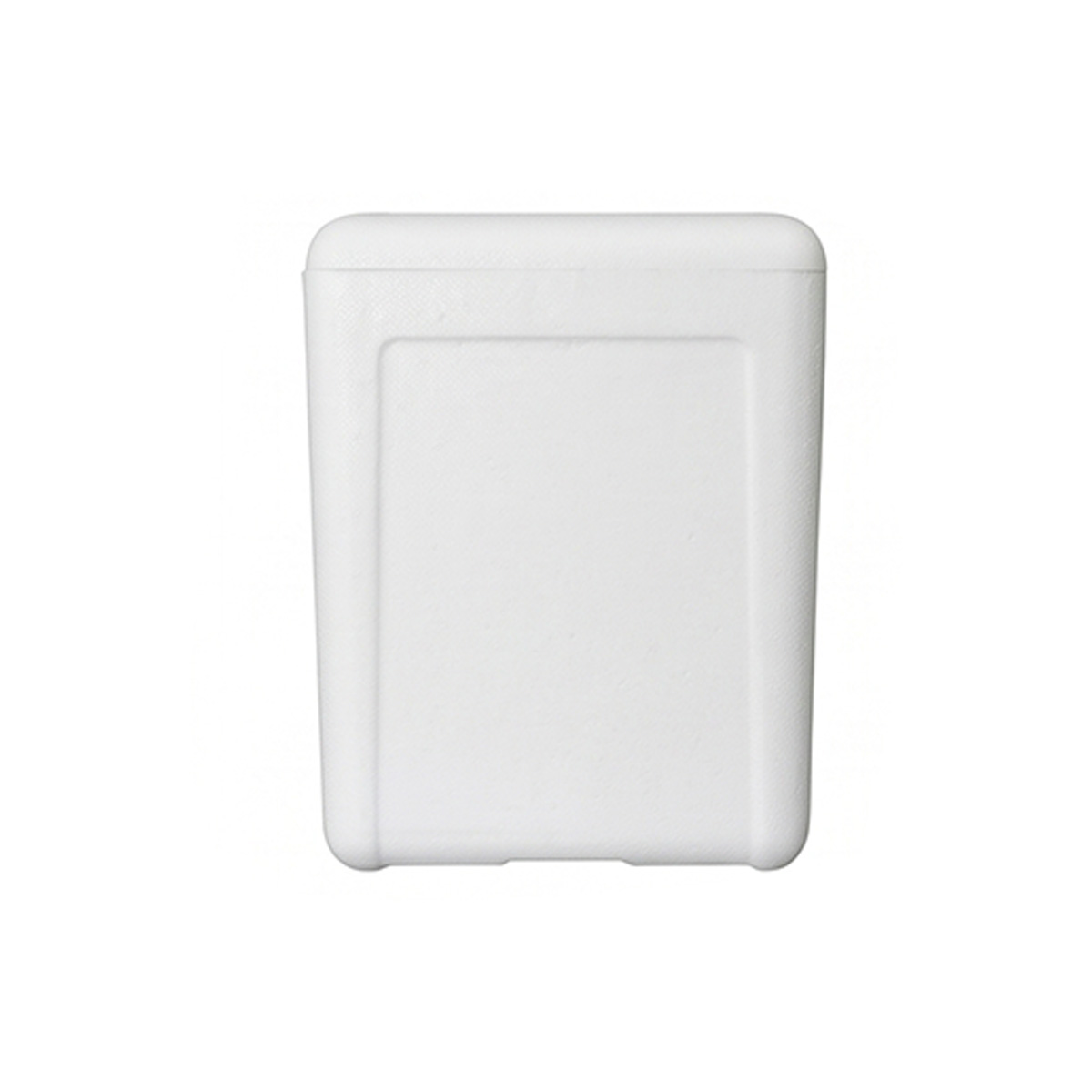 Caixa Térmica de Isopor 5L 24 unidades