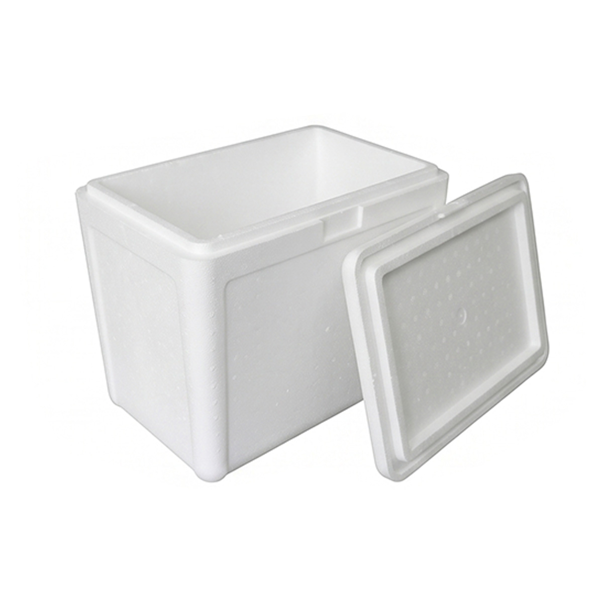Caixa Térmica de Isopor 5L 24 unidades