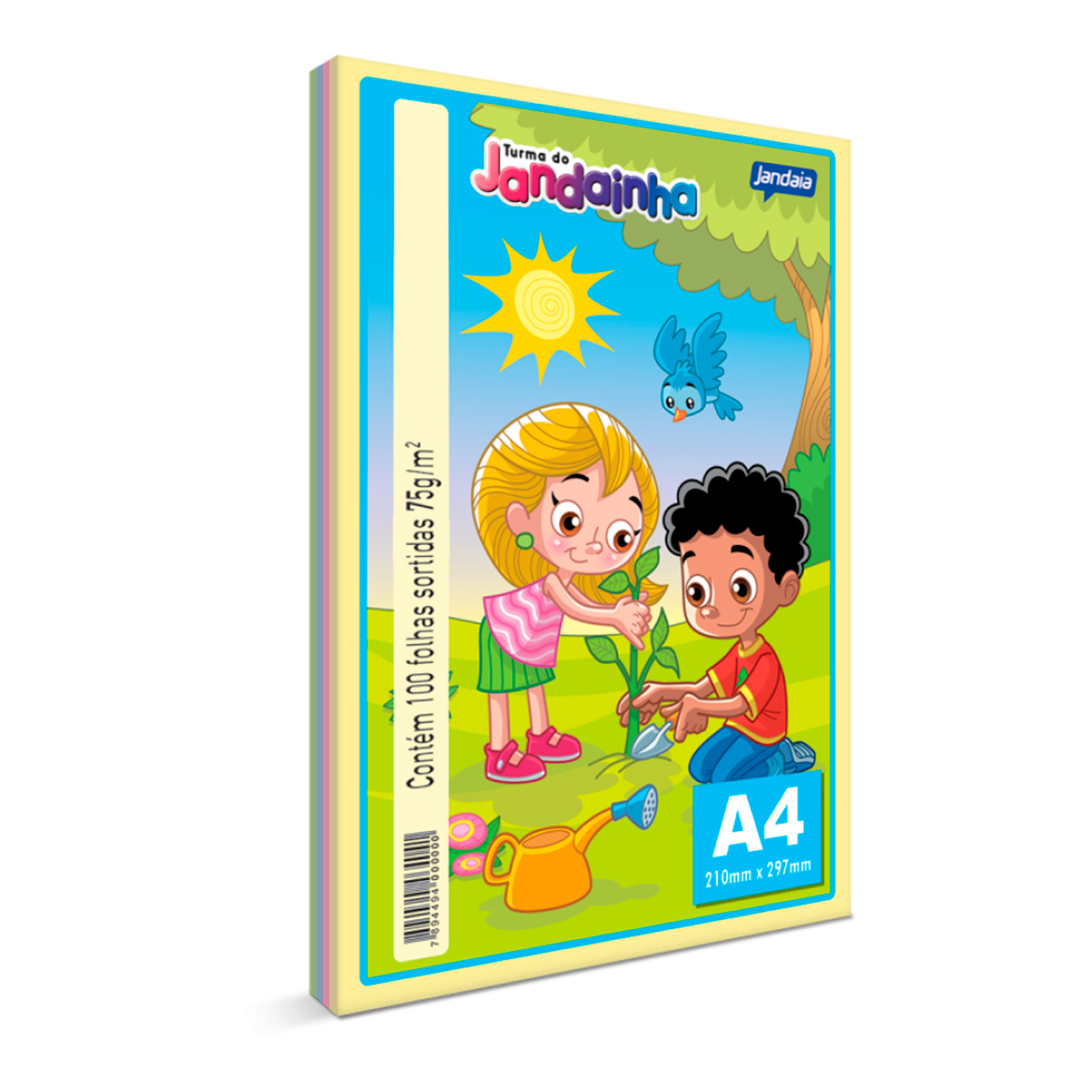 Papel A4 Colorido 75gr PCT C/100fls | Jandainha