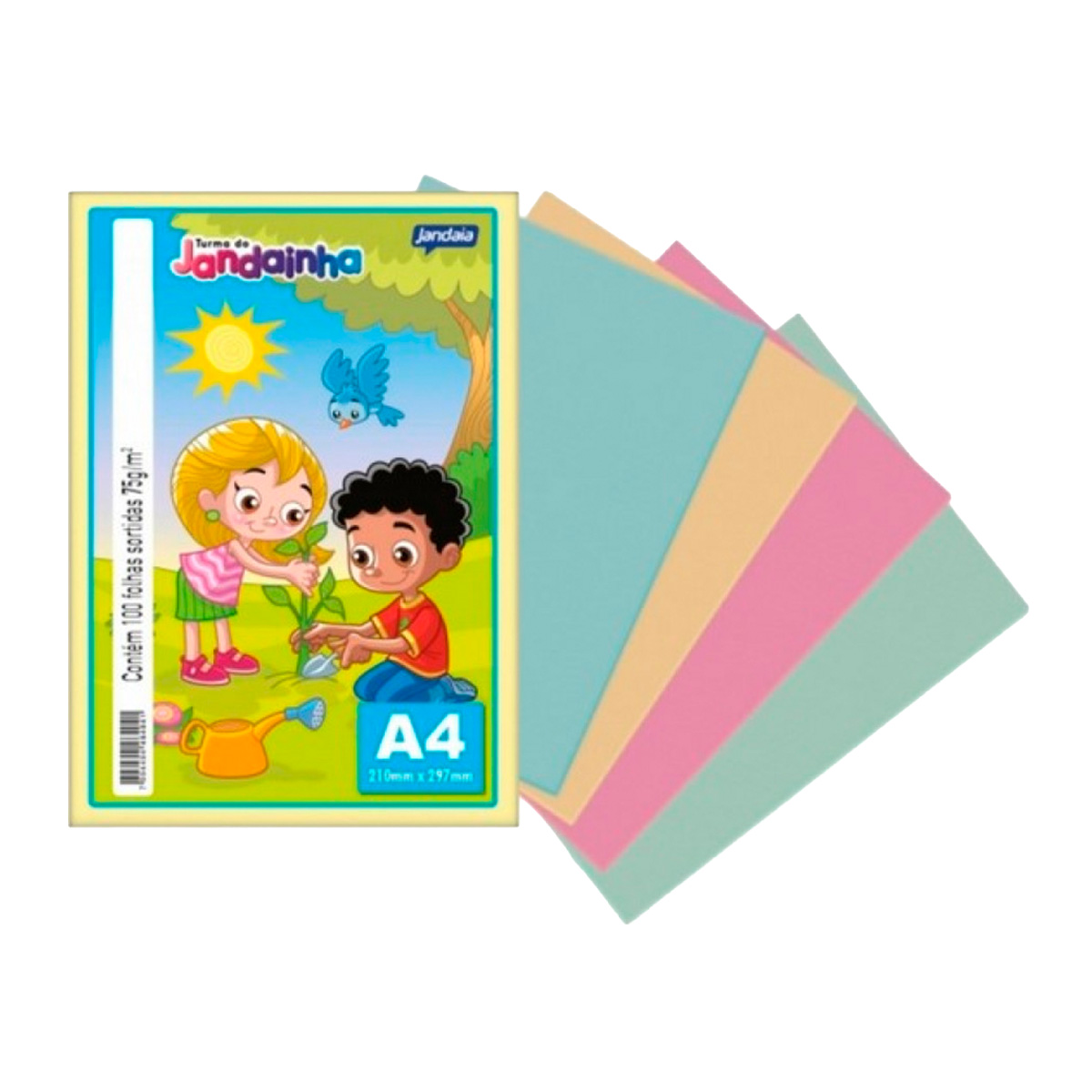 Papel A4 Colorido 75gr PCT C/100fls | Jandainha