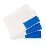 Pano de Limpeza com Tarja Azul 45x65cm 85g 3 unidades | Everclean