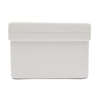 Caixa Térmica 2L Pacote c/ 48 unidades