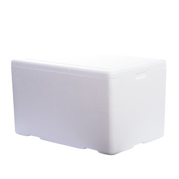Caixa Térmica 50L 1 unidade